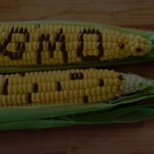 Non GMO