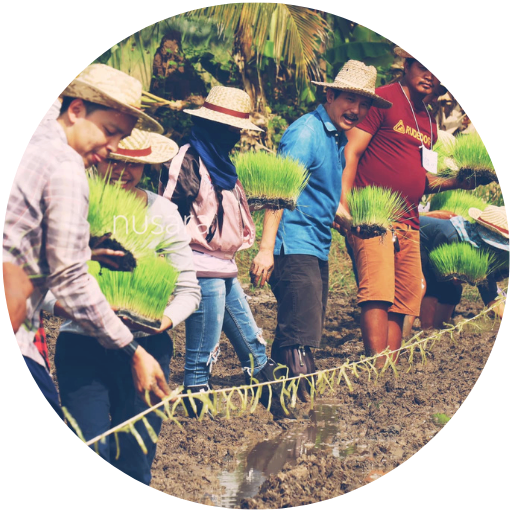 Permaculture