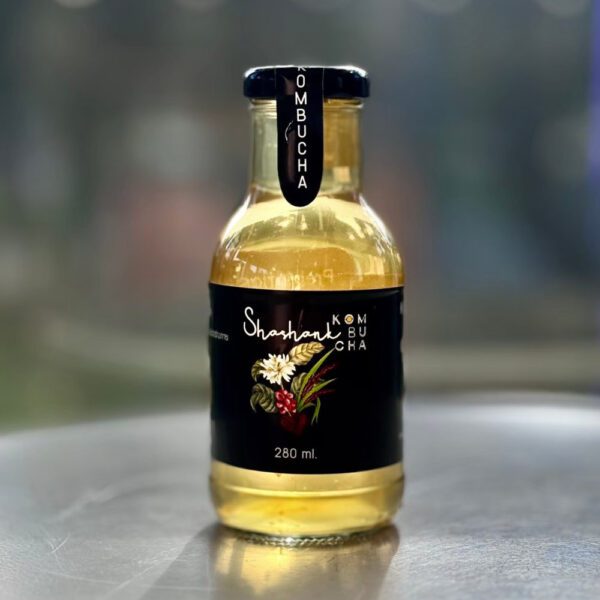 Kombucha - Image 2
