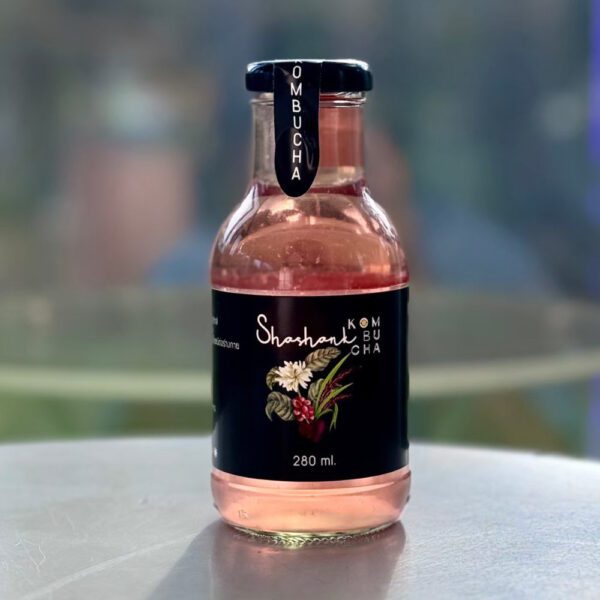 Kombucha - Image 3